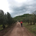 Salcus sotto la piogga a Zimella e Gambellara