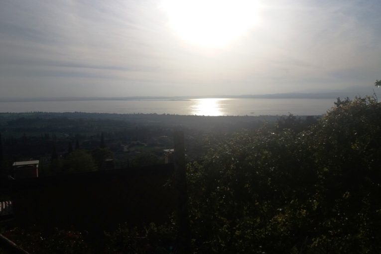 Salcus dai vigneti e olivi del Garda alle golene dell'Adige