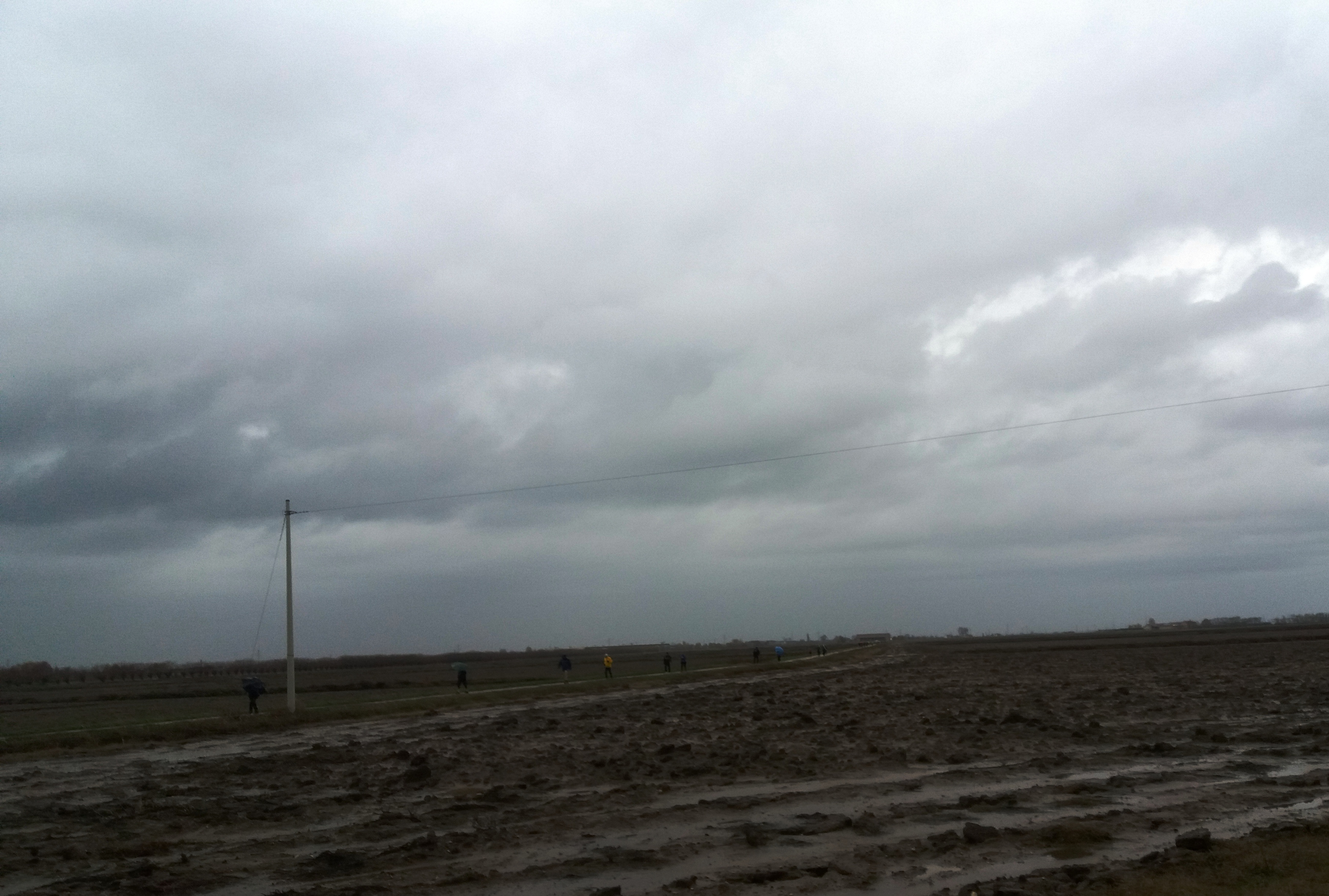 Salcus sotto la pioggia fra le risaie di Villafontana