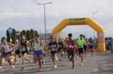 Torna IN SLA ROTA AD PO SUMMER EDITION